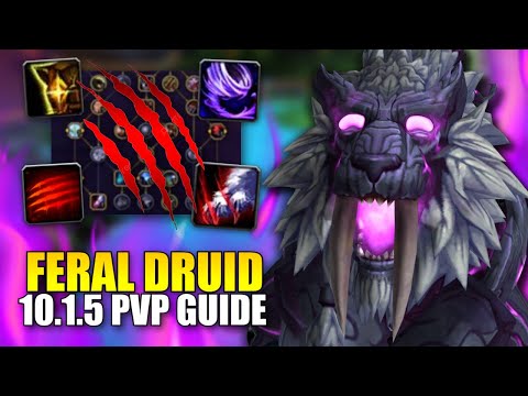 10.1.7 Feral Druid Dragonflight PvP Guide | Talents, Rotation, BIS Gear and MORE!