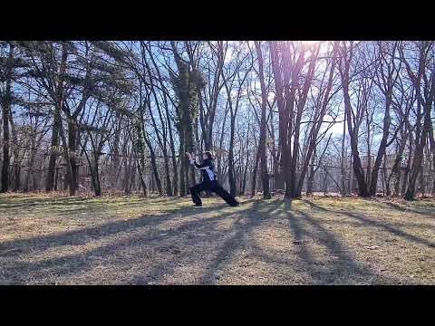 Tai Chi in Gradina Japoneza