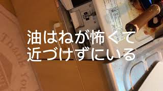 汚いキッチンでパプリカの肉詰めと味噌汁作ってみた