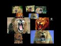 9 The Kids ABC S At The Zoo 2025