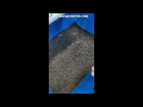 spice clove sorting and grading line