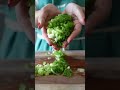 What is the difference between scallions and green onions?