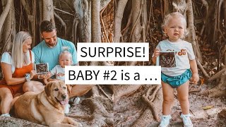 BABY #2 + GENDER REVEAL !!!