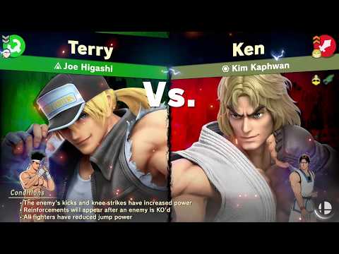 DLC Spirits (Terry Bogard)