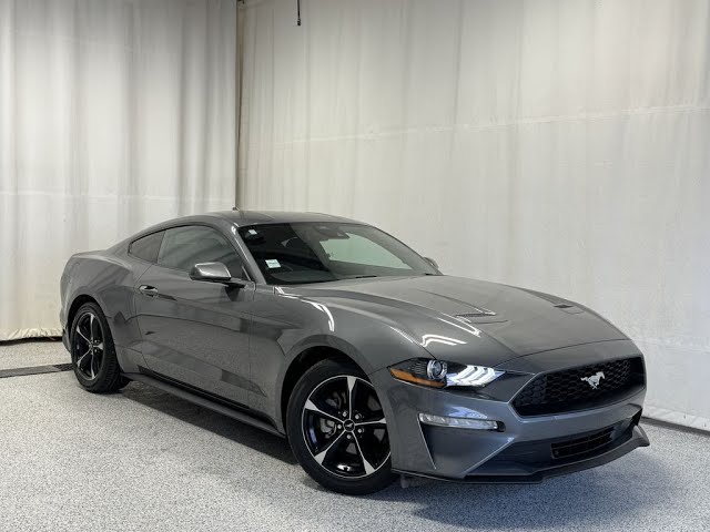 2022 Ford Mustang Ecoboost - NAV, Backup Camera, Cruise Control, in Cars & Trucks in Strathcona County