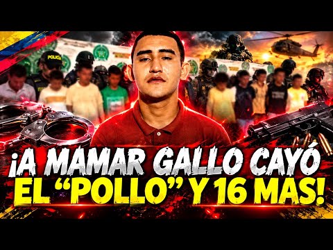 Cayó ‘El Pollo’ y su red: 17 detenidos en duro golpe a  las FARC 