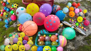 Download lagu mengenal warna bola, menemukan banyak bola warna warni, bola semangka, melempar bola warna warni mp3