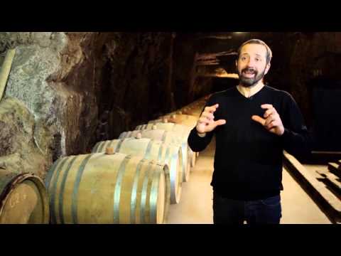 Domaine Bobinet - Vins de Saumur