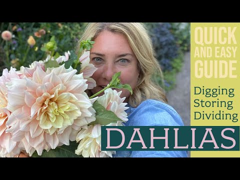 , title : 'Digging and storing DAHLIAS: A quick & easy guide'