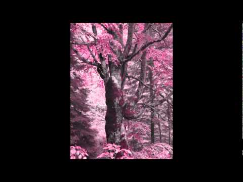 Melicia vs Aquatica - Suenos (Vla D Rconstrurct)