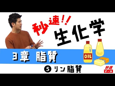 看護学科 【秒速ナース】3-5リン脂質【生化学-授業動画】