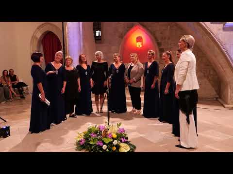 Klapa Amfora - Garifule bili - Knežev dvor 26.09.2025.