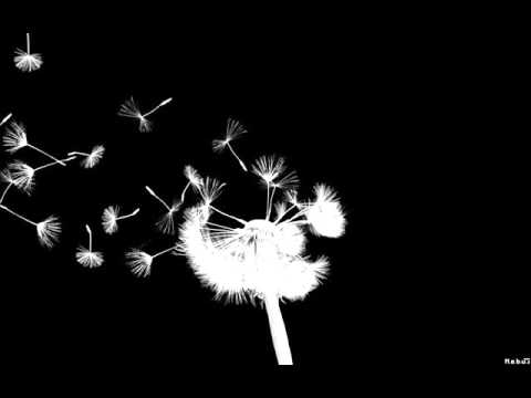 PHANTOM Léra Zini - Zina mavAja (shake body 2.0)