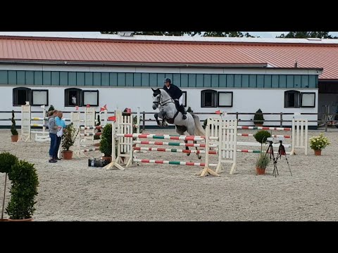 Turnierimpressionen - Crack in Klein Offenseth (1.30m)