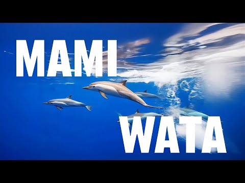 Noah - MAMI WATA (Official Lyric Video)