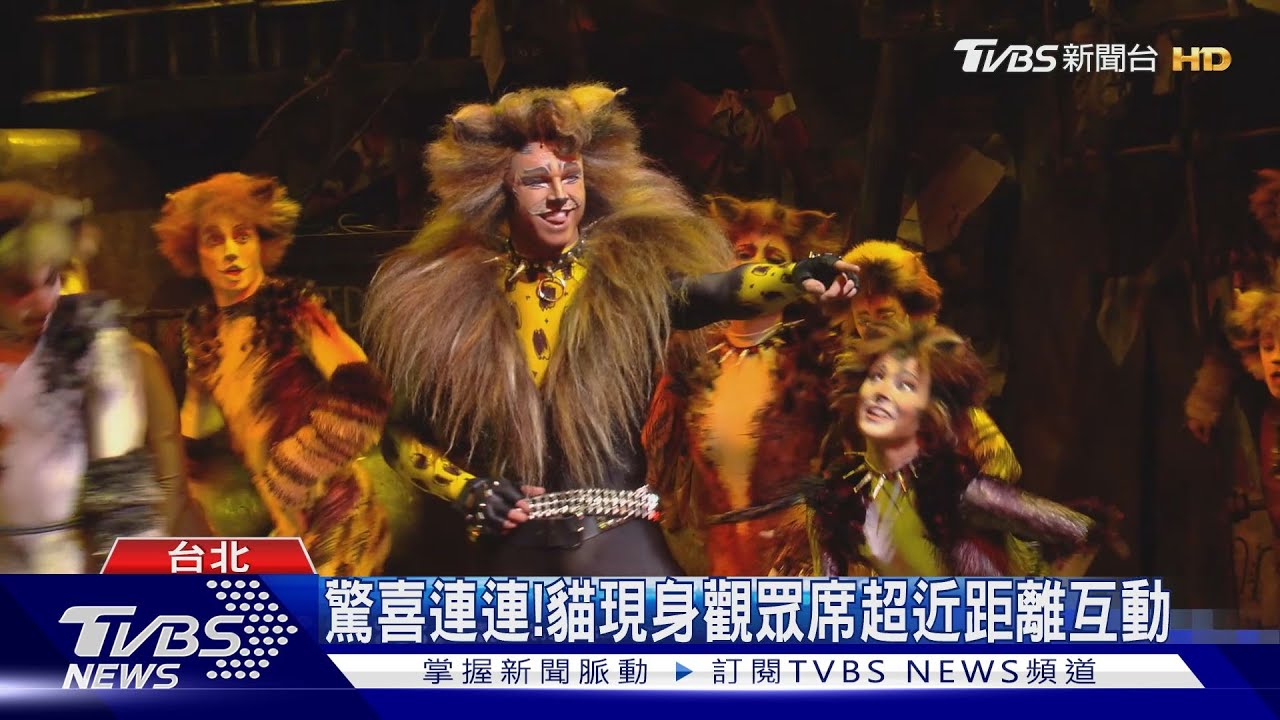 音樂劇貓暑期來台 親子共賞啟蒙音樂劇