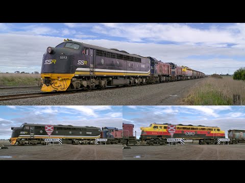 9196 Broad Gauge SSR Grain Train (18/8/2022) - PoathTV Australian Diesel Locomotives & Railways