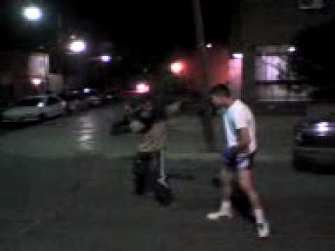 camel maradona vs ratita