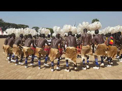 Bwola - The Acholi Royal dance