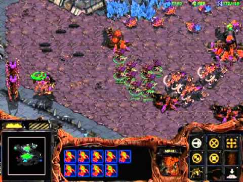 Let's Play Starcraft Brood War (53-1) Foes Unite