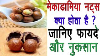 मेकाडामिया नट्स क्या होता है ? फायदे और नुकसान/macadamia nuts benefits and side effects in hindi
