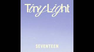 Download lagu SEVENTEEN: Tiny Light mp3