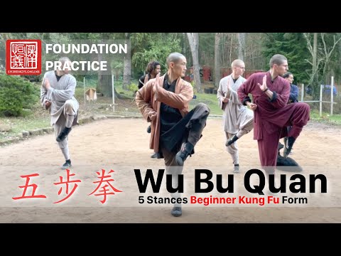 五步拳 · Wu Bu Quan (5 Stances Beginner Form / 1. Section)