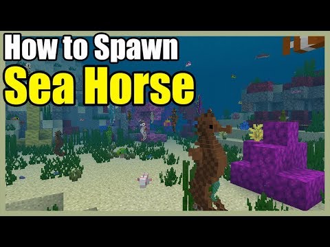 How to Spawn Sea Horse | Minecraft PE