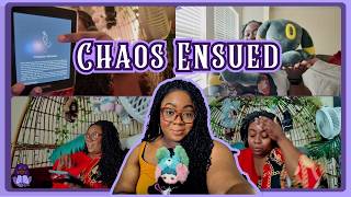A Cozy Reading Vlog 📚✨ | Reading Sprints, New Books & Bookish Chaos