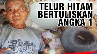 Penemuan Telur Hitam Bertuliskan Angka 1 Picu Orang Kaitkan dengan Politik