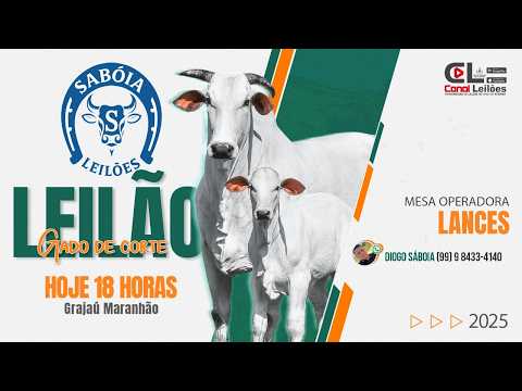 LEILÃO GADO DE CORTE SABÓIA LEILÕES | GRAJAÚ-MA 06/05/2026