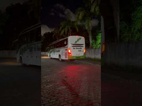 São Benedito 034 marcando território! #shorts