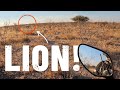 Face To Face With THREE MALE LIONS In Namibia S5 Eps 63