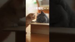 先住猫がダンボールに入ったら、新入り子猫が集まってきた【猫あるある｜AIアニメ】