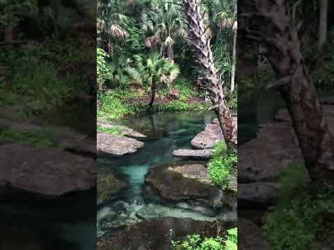 Flórida piscina natural de uma nascente em Orlando