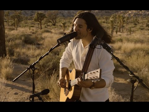 Craig Stickland - Starlit Afternoon (The Van Sessions)