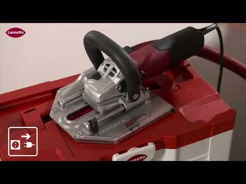 Tanga DX200 Schnitt in Leibung