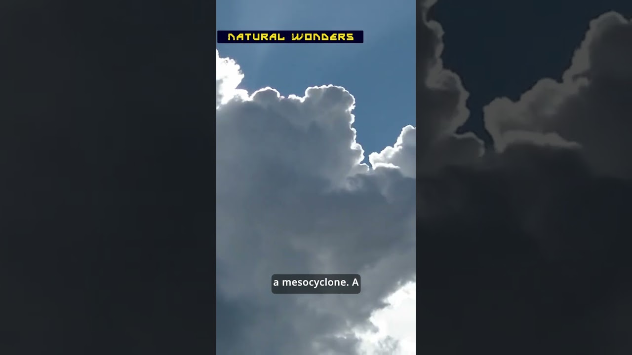 Mesocyclone: The Storm Within