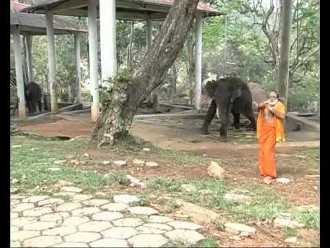 Kanthamalaiyil | Ayyan Dharisanam