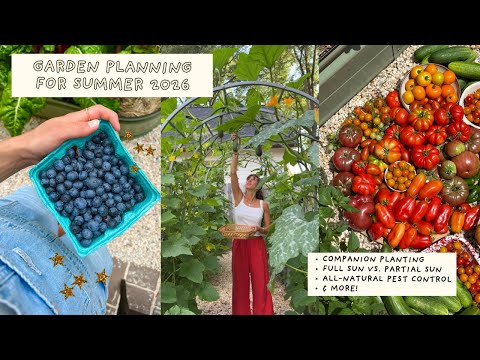 Backyard Garden Planning for Summer 2026 | Companion Planting, Organic Pest Deterrents & More!