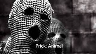 Prick  Animal