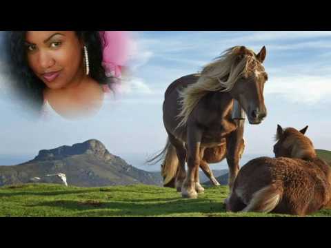 Je garde le style  - Princess Kinzy