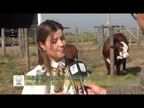 Nota Alejandra Sereno y Rodrigo Gómez Cabaña Braford "ARASY"