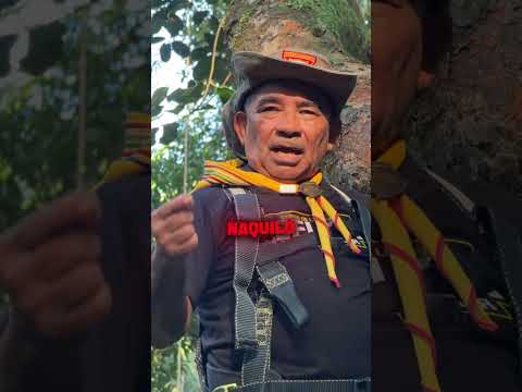 Vem aí… curso de selva 5.0 Santa Rita - Ma