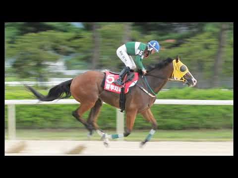 Korean Racing News - February 2020