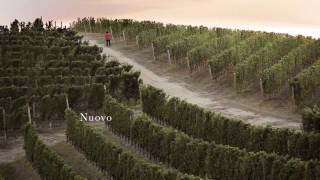 Gianmaria Testa - Nuovo