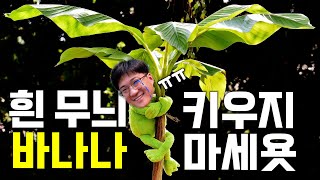 저는 경고 했습니다..ㅠ