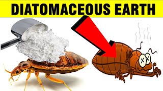 HowTo Get Rid Of Bed Bugs With Diatomaceous Earth