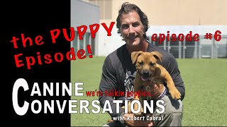 Canine Conversations Episode #6 - EVERYTHING PUPPIES! - Puppy Training and Puppy Tips