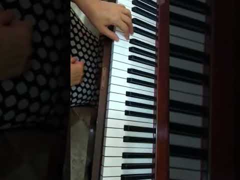 O casamento da Andorinha....Duas mãozinhas no teclado.